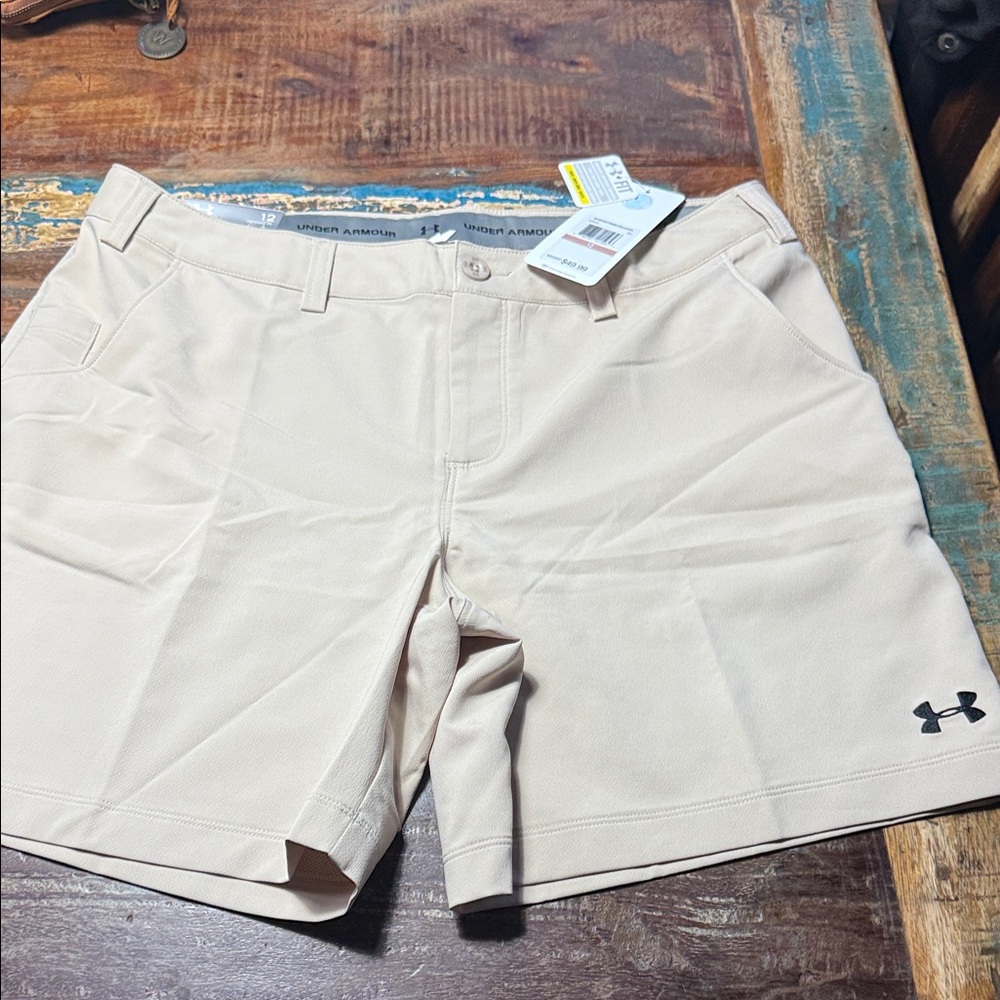Under Armour Men's Beige Athletic Shorts